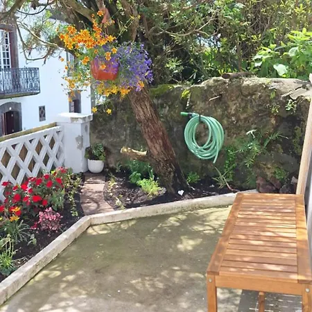 Pateo House Domek alpejski