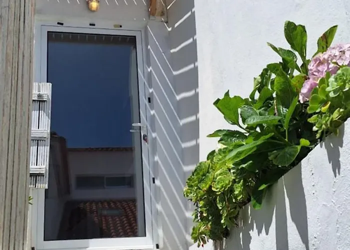 Pateo House Dağ evi