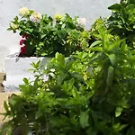 Pateo House Dağ evi Lagoa (Azores)