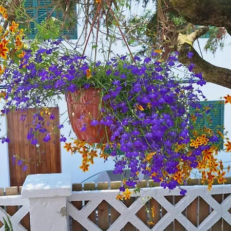 Σαλέ Pateo House *