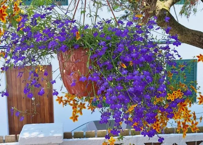 Horská chata Pateo House *