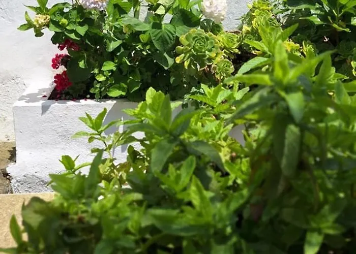 Pateo House Chalet Lagoa (Azores)